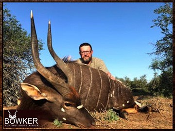 Nyala trophies are included in a number of our hunting packages. Nyala trophies are included in a number of our hunting packages.
