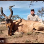 Red Hartebeest Hunting - All You Need to Know About Hartebeest Hunts 23 Trophy hunted with Nick Bowker.
