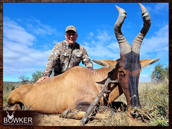 Red Hartebeest Hunting - All You Need to Know About Hartebeest Hunts 9 Red Hartebeest hunt in Africa with Nick Bowketr.