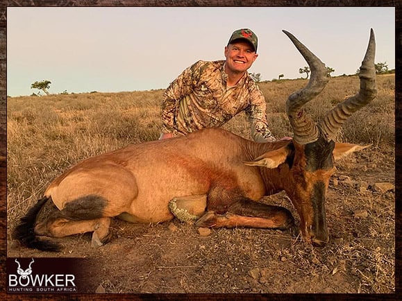 Red Hartebeest Hunting - All You Need to Know About Hartebeest Hunts 11 Red Hartebeest harvested in 2023.