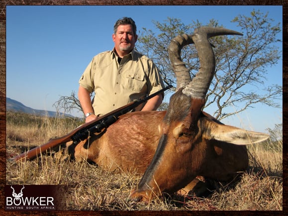 Red Hartebeest Hunting - All You Need to Know About Hartebeest Hunts 4 Red Hartebeest trophy hunting