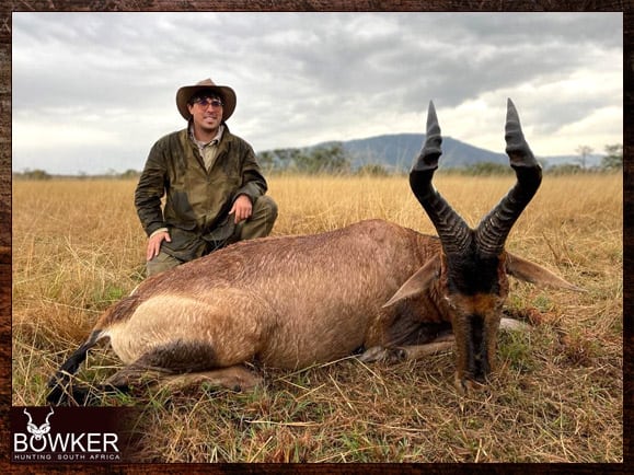 Free Range Hunting and Fair Chase Hunts in South Africa 8 Red Hartebeest hunted on a game farm.