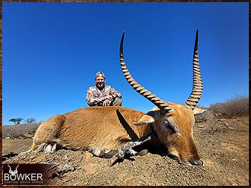 Trophy Hunting South Africa 130 Red Lechwe African hunt with Nick Bowker.