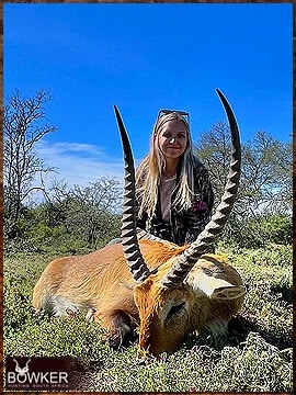 Trophy Hunting South Africa 129 Red Lechwe African hunt with Nick Bowker