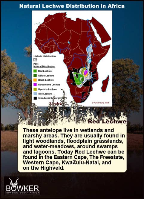 Red Lechwe Hunting. All You Need to Know About Lechwe Hunts 43 Distribution across Africa.
