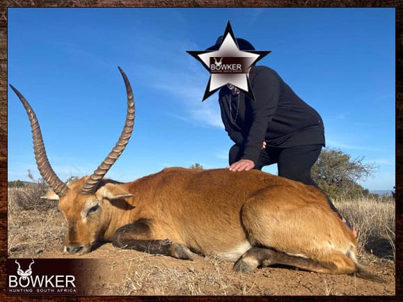 Red Lechwe Hunting. All You Need to Know About Lechwe Hunts 9 Red Lechwe trophy hunting.