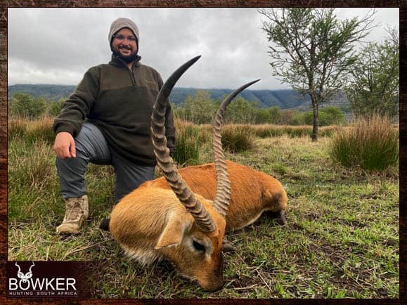 Red Lechwe Hunting. All You Need to Know About Lechwe Hunts 14 The lyre shaped horns are very impressive.