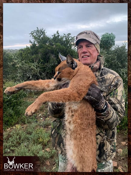 Impala sheltered behind a hill. A very good pair of binoculars is a must as an extra when packaging for an African hunting safari. Rifle considerations for your african hunting trip.