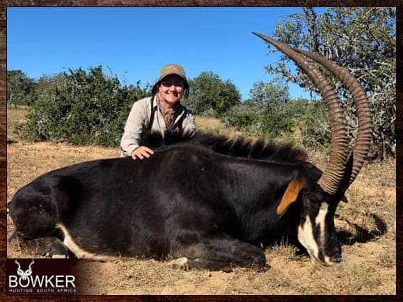 Plains Game Hunting in Africa - Hunt Plains Game with Nick Bowker 2 Sable Antelope. Big game hunting safari with Nick Bowker.