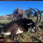 The Thrill of Sable Antelope Hunting: Guide to Hunting Sable 30 Sable antelope hunt.