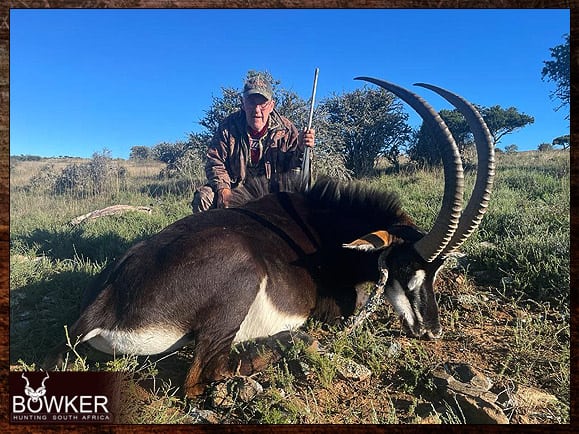The Thrill of Sable Antelope Hunting: Guide to Hunting Sable 2 Sable antelope hunts.