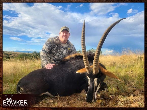The Thrill of Sable Antelope Hunting: Guide to Hunting Sable 20 Sable safari in South Africa