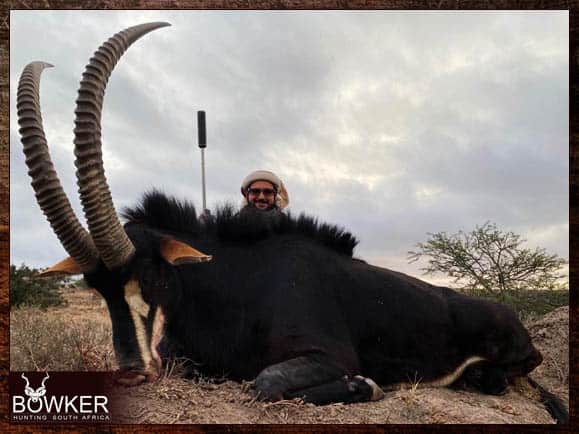 The Thrill of Sable Antelope Hunting: Guide to Hunting Sable 21 Sable trophy shot in the Eastern Cape South Africa