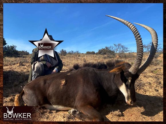 The Thrill of Sable Antelope Hunting: Guide to Hunting Sable 19 Hunting sable antelope.