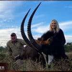 The Thrill of Sable Antelope Hunting: Guide to Hunting Sable 35 Sable antelope trophy hunted in South Africa.
