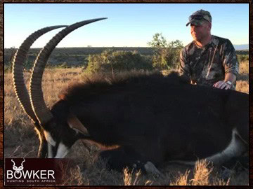 Impala trophies are included in a number of our hunting packages. Sable trophies are included in a number of our hunting packages.