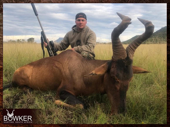 Red Hartebeest Hunting - All You Need to Know About Hartebeest Hunts 16 Safari Style African hunting with Nick Bowker