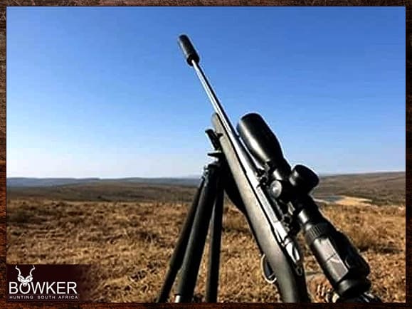 African Safari 16 African hunting rifle