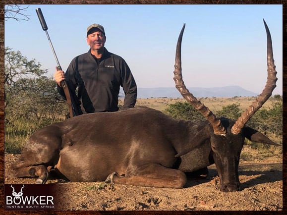 Black Impala Hunting - All You Need to Know About Black Impala Hunts 5 South African Black Impala safari with Nick Bowker.