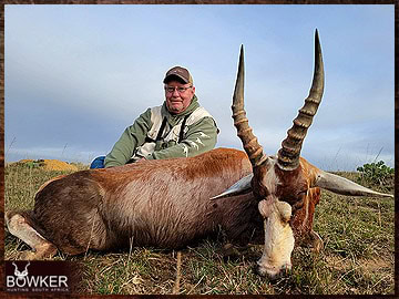 Trophy Hunting South Africa 94 South African blesbok safari.