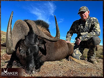 Trophy Hunting South Africa 176 South African wildebeest safari.