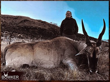 Trophy Hunting South Africa 109 South African Eland safari.
