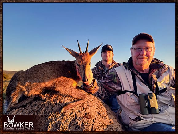 Common Grey Duiker Hunting - Expert Tips for Duiker Hunts 4 South African grey duiker safari.