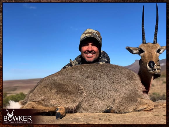 Mountain Reedbuck Hunting - About Reedbuck Hunts 32 South African grey rhebok safari hunt.