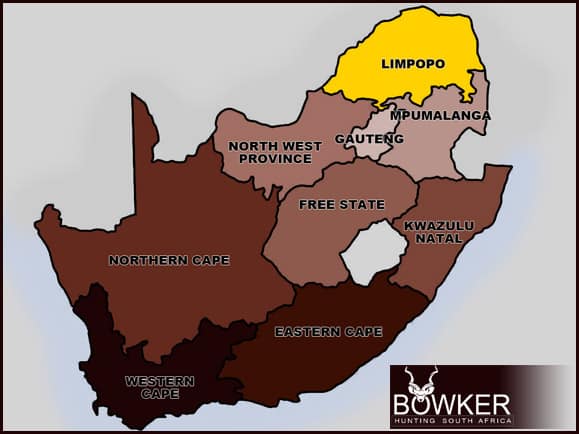 Hunt in South Africa - A Guide to South African Hunting Safaris 17 South African hunting in the Limpopo province.