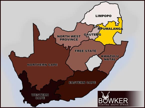 Hunt in South Africa - A Guide to South African Hunting Safaris 25 South African Hunting in the Mpumalanga province