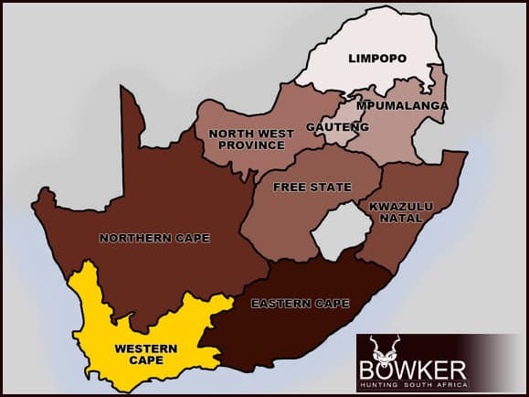 Hunt in South Africa - A Guide to South African Hunting Safaris 31 South African hunting in the Western Province.