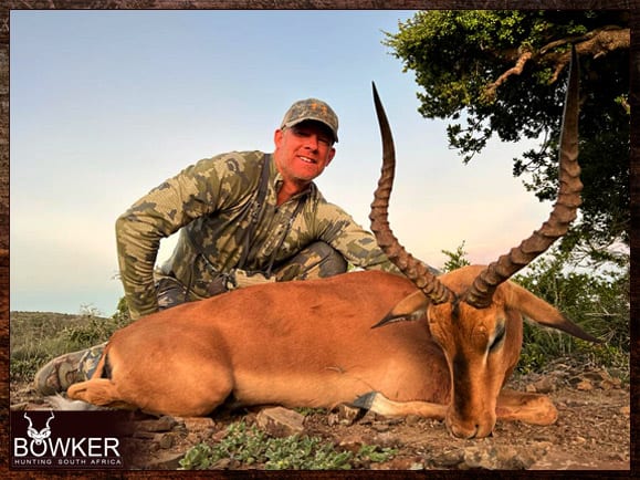 Impala Hunting - All You Need to Know About Impala Hunts 11 Trophy shot in South Africa