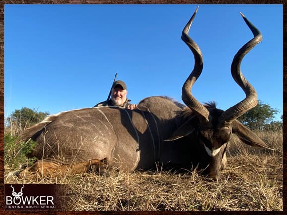 The Eastern Cape Kudu is considered a subspecies of the Greater Kudu. South African Kudu safari with Nick Bowker.