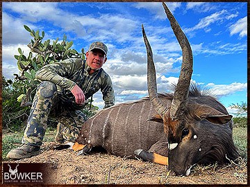 Trophy Hunting South Africa 57 South African Nyala safari.