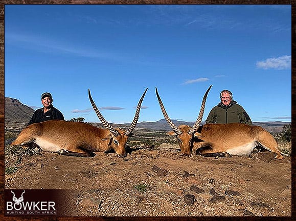 Red Lechwe Hunting. All You Need to Know About Lechwe Hunts 10 South African red lechwe safari.