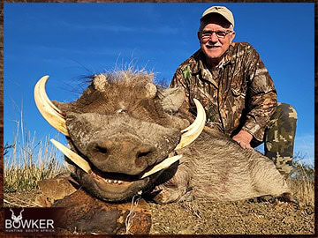 Trophy Hunting South Africa 60 South African Warthog safari with Nick Bowker.