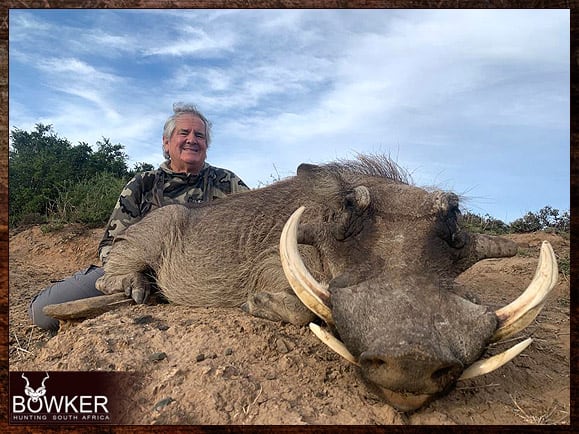 Warthog Hunting - All You Need to Know About Warthog Hunts 13 South African warthog safari with Nick Bowker.