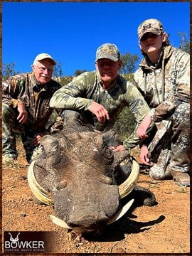 Trophy Hunting South Africa 53 South African warthog safari.