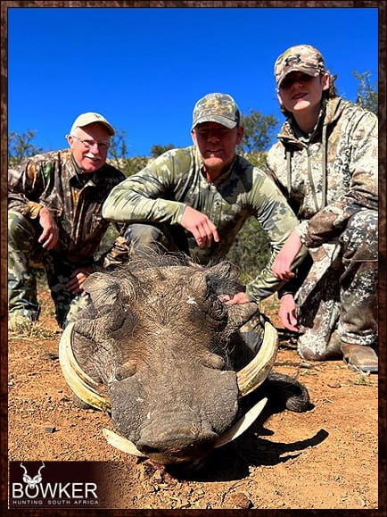 Warthog Hunting - All You Need to Know About Warthog Hunts 11 South African warthog safari hunt.
