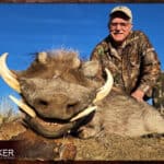 Warthog Hunting - All You Need to Know About Warthog Hunts 29 South African warthog safari hunt.