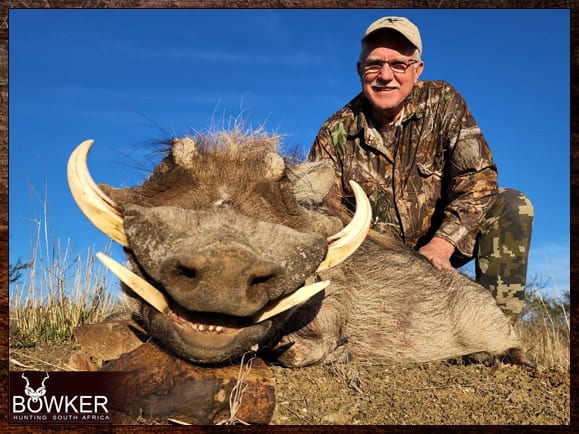 Warthog Hunting - All You Need to Know About Warthog Hunts 10 South African warthog safari hunt.