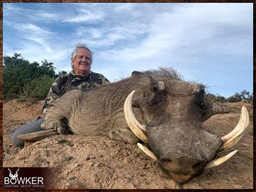 Trophy Hunting South Africa 46 South African Warthog safari.