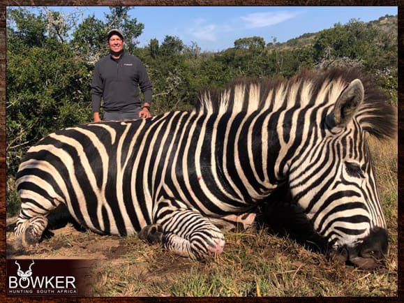 Zebra Hunting - All You need to Know About Zebra Hunts 4 South African Zebra Safari with Nick Bowker.
