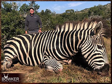 Trophy Hunting South Africa 134 South African Zebra safari.