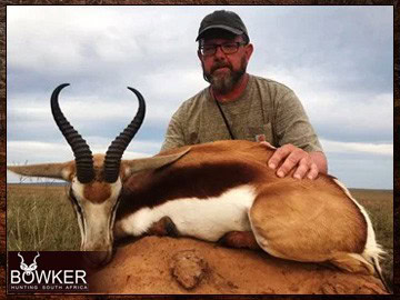 Springbok trophy in a client 7 animal 8-day African trophy hunt. Springbok trophy in a client 7 animal 8-day African trophy hunt.