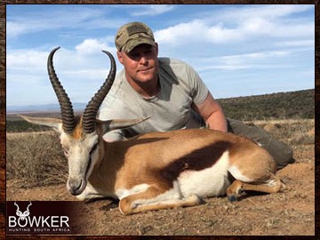 Springbok trophy in a client 7 animal 8-day trophy hunt. Springbok trophy in a client 7 animal 8-day trophy hunt.