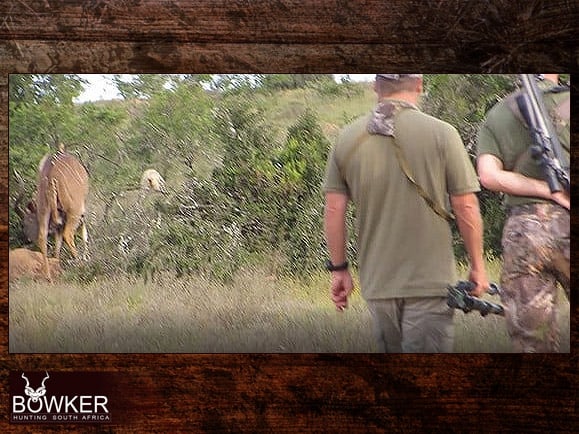 African Hunting Trip 14 Stalking a kudu on our African safari adventure.
