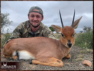 Trophy Hunting South Africa 160 Steenbok harvested in 2023.