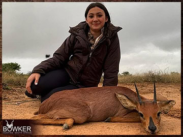 Trophy Hunting South Africa 149 Steenbok African hunt.