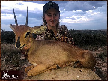 Trophy Hunting South Africa 150 Steenbok African hunt.
